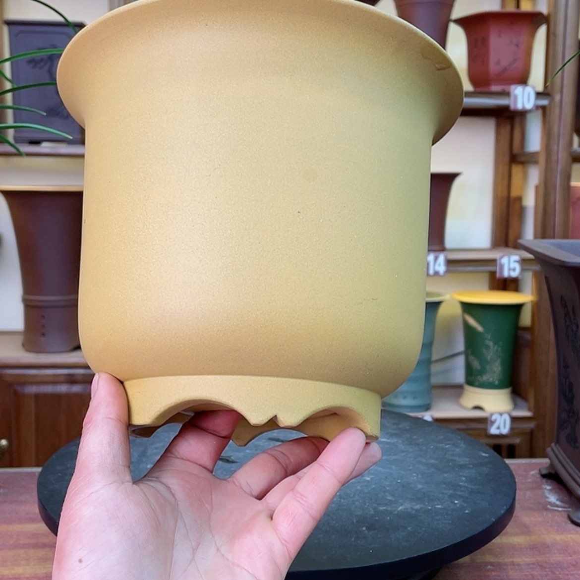 【闪购商品】紫砂花盆兰花756682485325555552