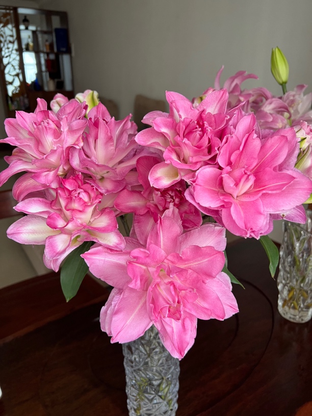 【花好月圆】莲花系列重瓣香水百合（地区颜色香味有差异介意慎拍）