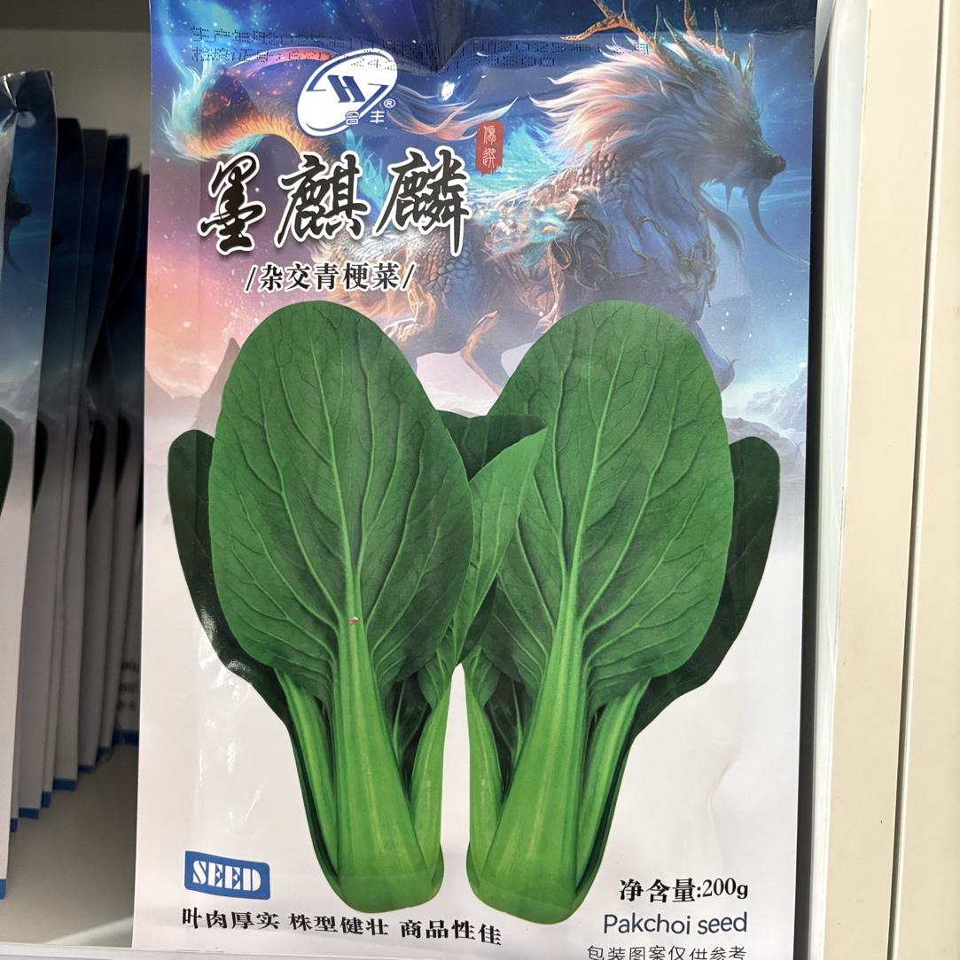 水溶肥墨麒麟、全年种 深绿大叶面 耐炸帮耐拔节