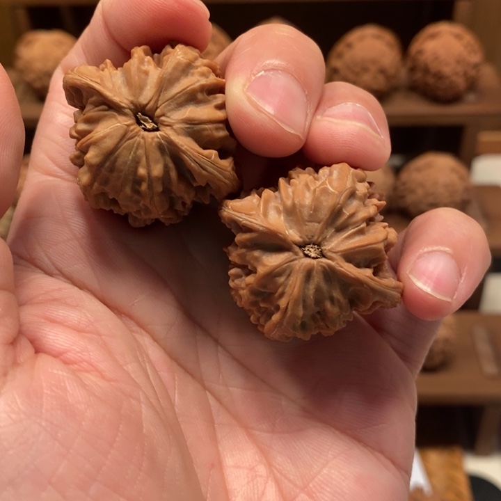 浣***嘉36+ 磨盘狮子头核桃