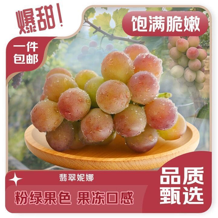 【移动专属】新鲜现摘无籽妮娜皇后葡萄颗粒包装浓香酒香脆甜水果