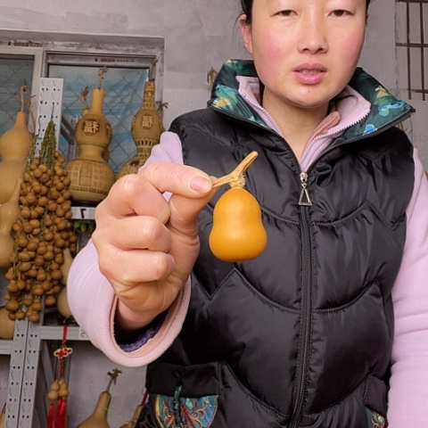 天然植物葫芦文玩