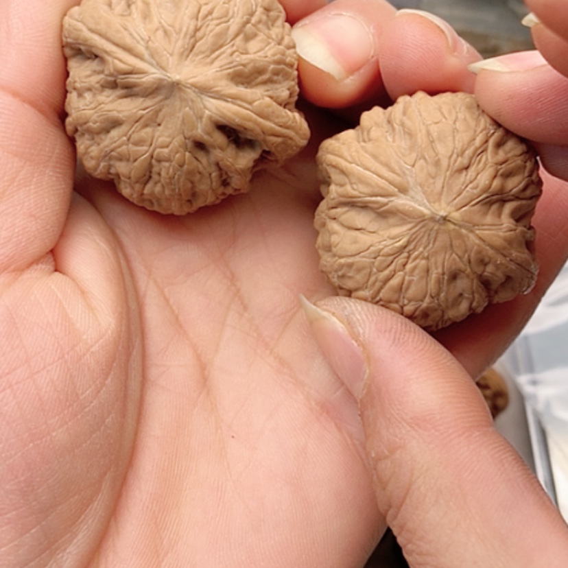 【闪购商品】吊坠文玩核桃瑕疵铁锤