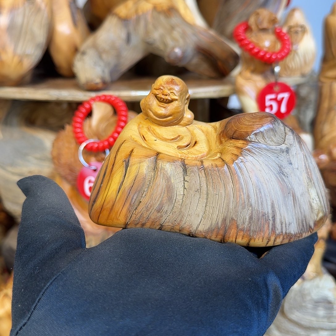 柏木（崖柏）66666666