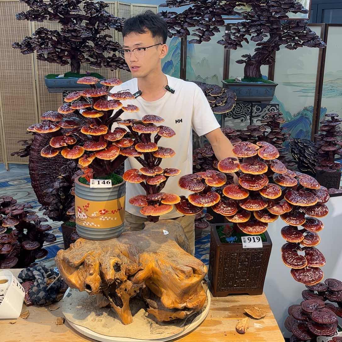 无花朵8888888888888888