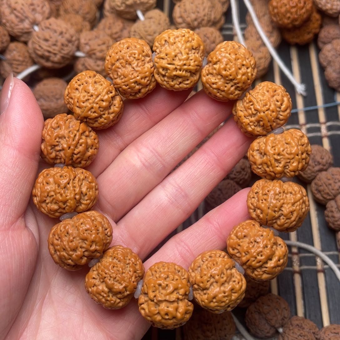 菩提尼泊尔大金刚雪花扇面六瓣23