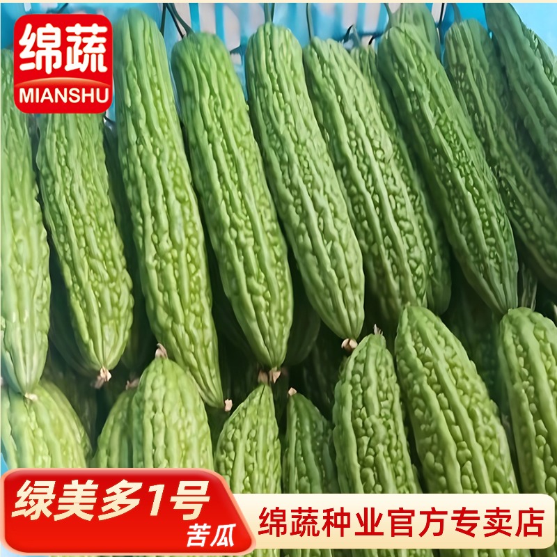 绵蔬【绿美多1号】苦瓜种子高产种植苦瓜简单蔬菜种子播种