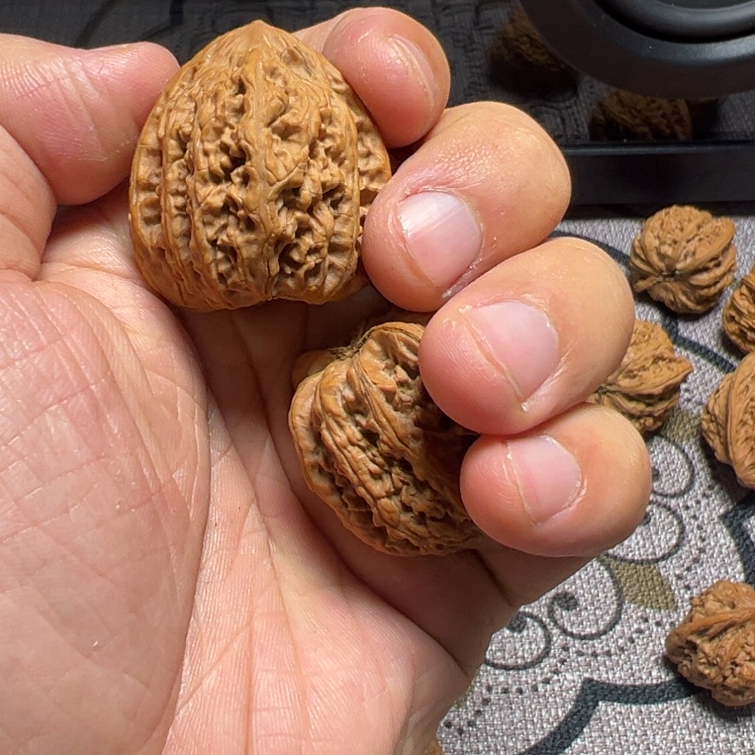 红***蹄吊坠龙脊菩提密纹