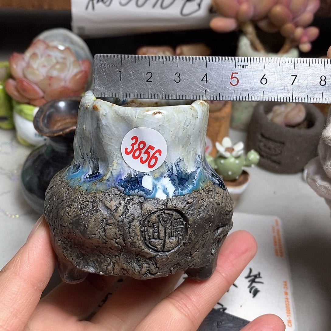 红陶拍5送一个小