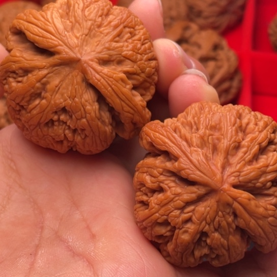 文玩核桃把件秦岭山脉核桃