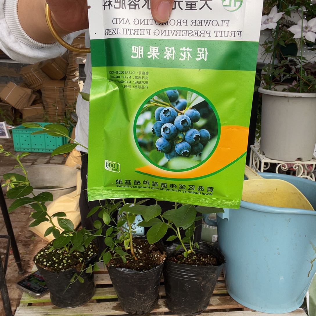 促花保果肥送两颗修剪苗 