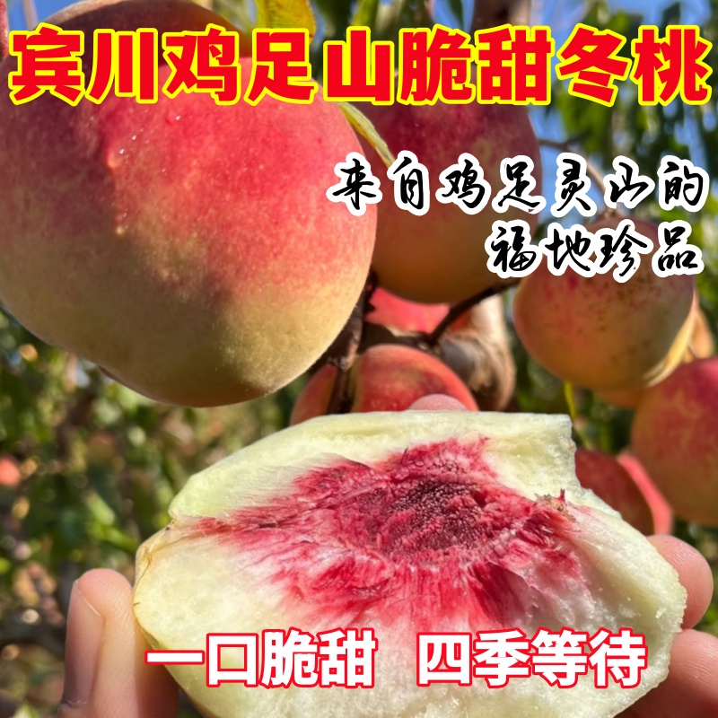 【果园现摘现发】正宗云南大理鸡足山冬桃脆香蜜甜山地种植孕妇可吃