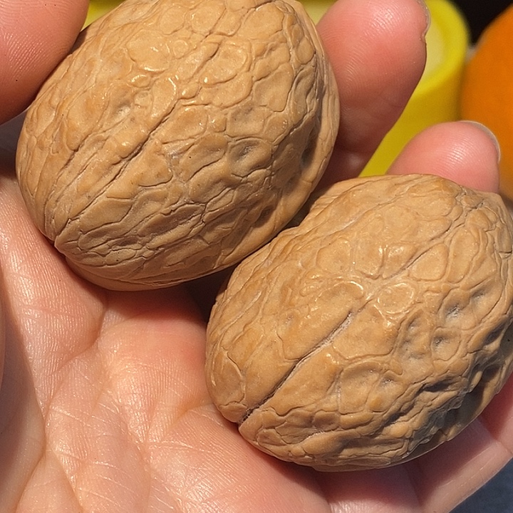 把件文玩核桃77¥7¥¥¥¥¥¥¥¥