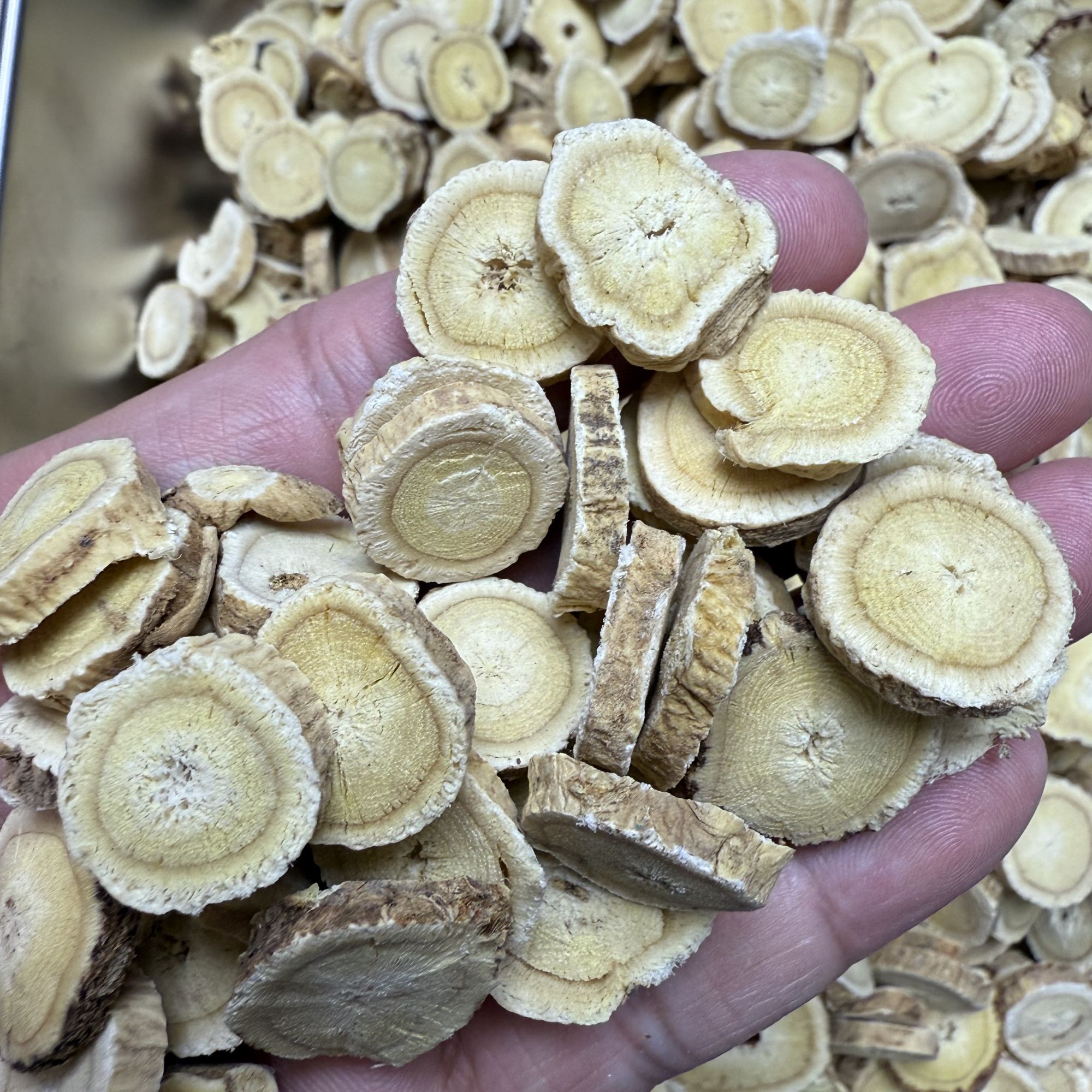 长白山黄芪 大号 正北芪 长白山脉黄芪 