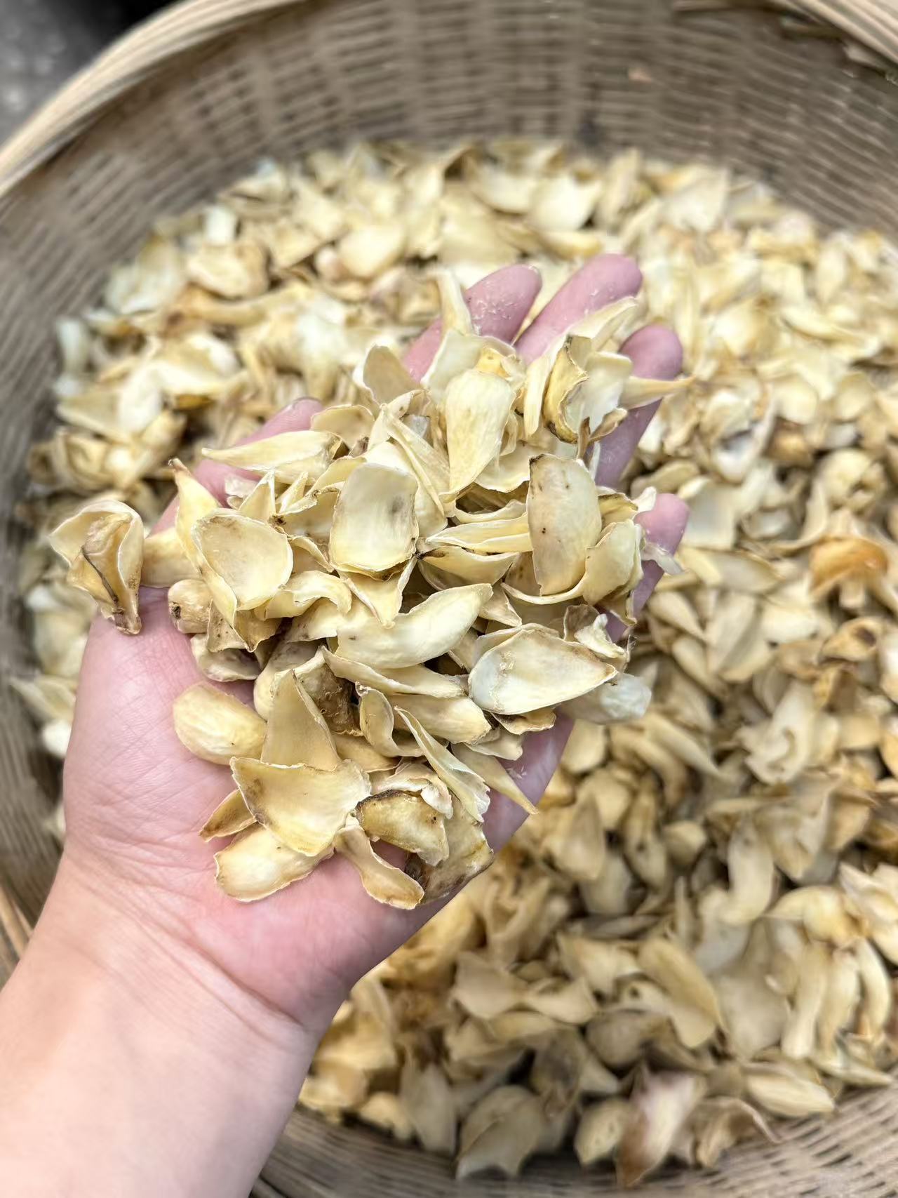 四川菌王卷丹百合 新货干货