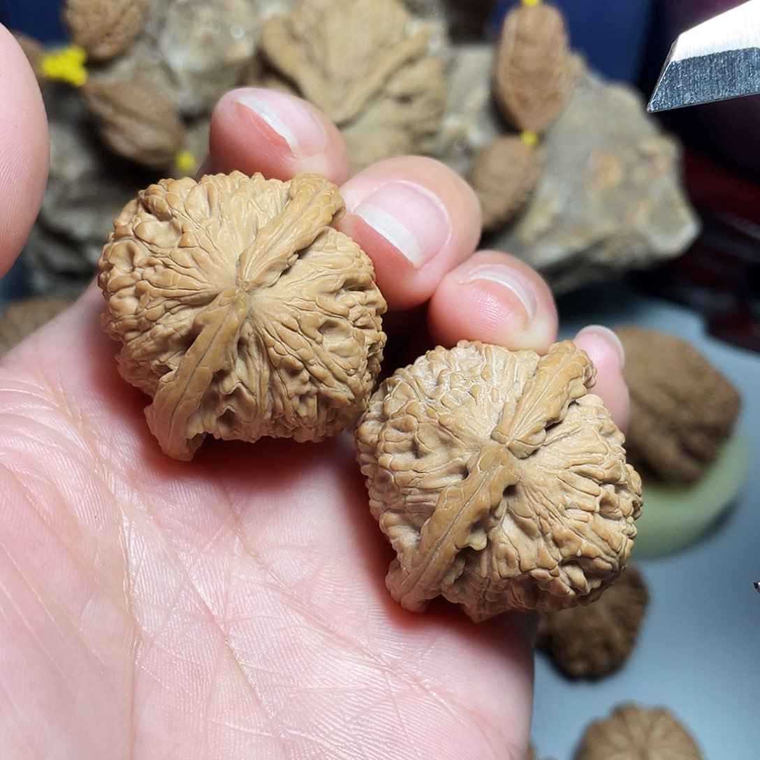 核桃手串/手链精品白狮子35加