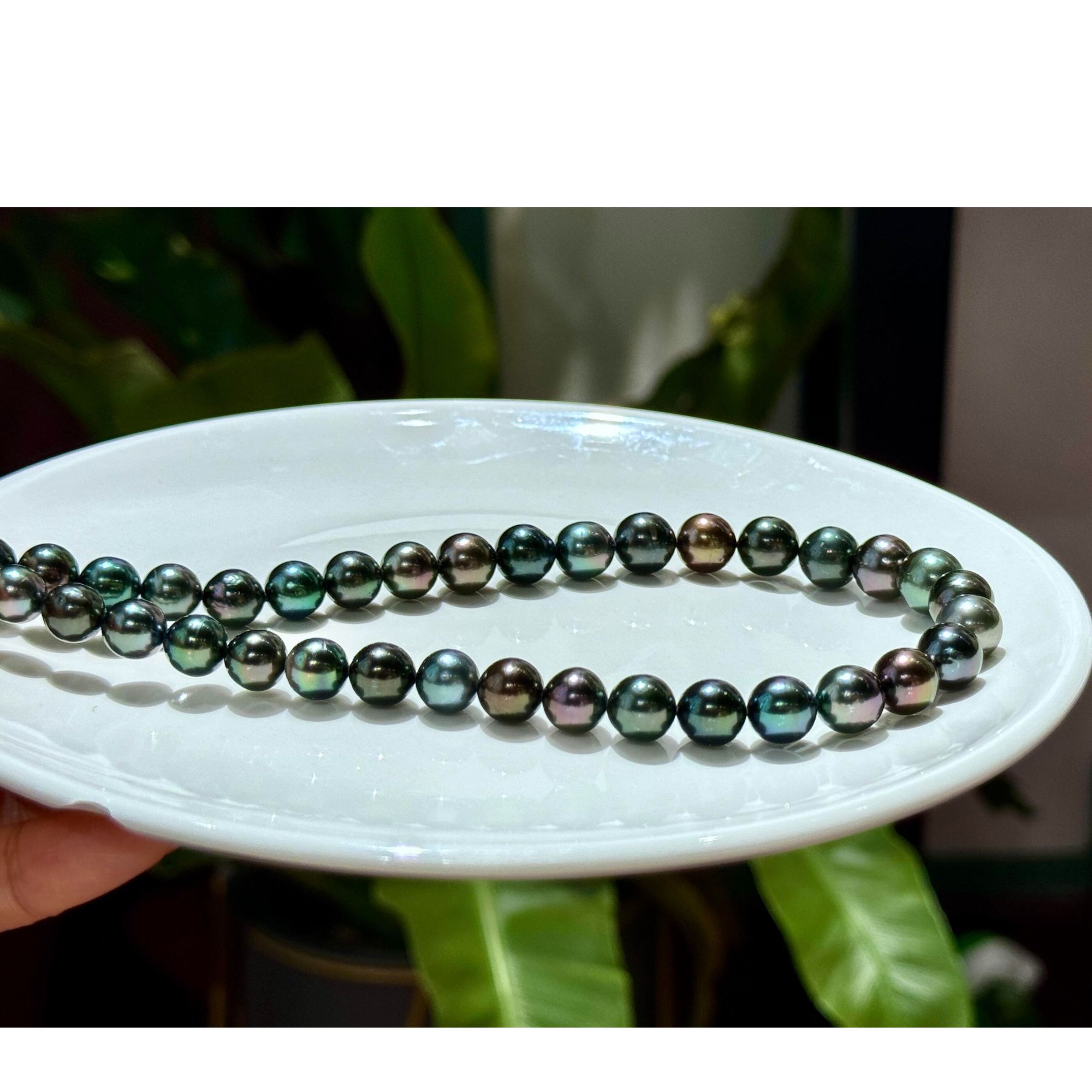 SENSE   25年    六姨优选 B3