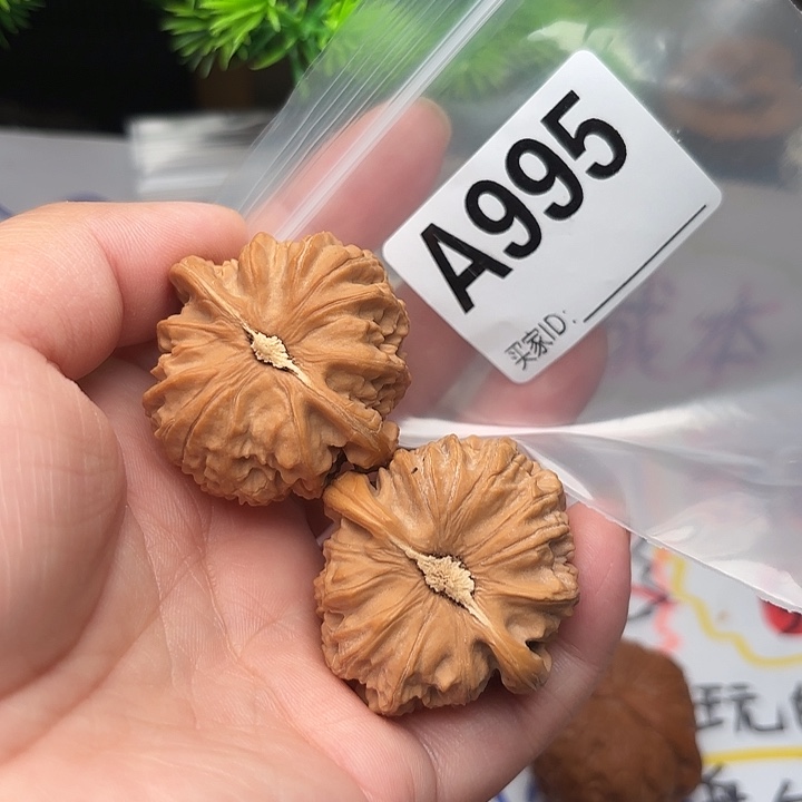 把件桃核核桃白狮子50