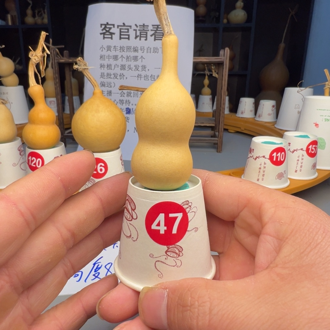 闪电购自助下单编号47