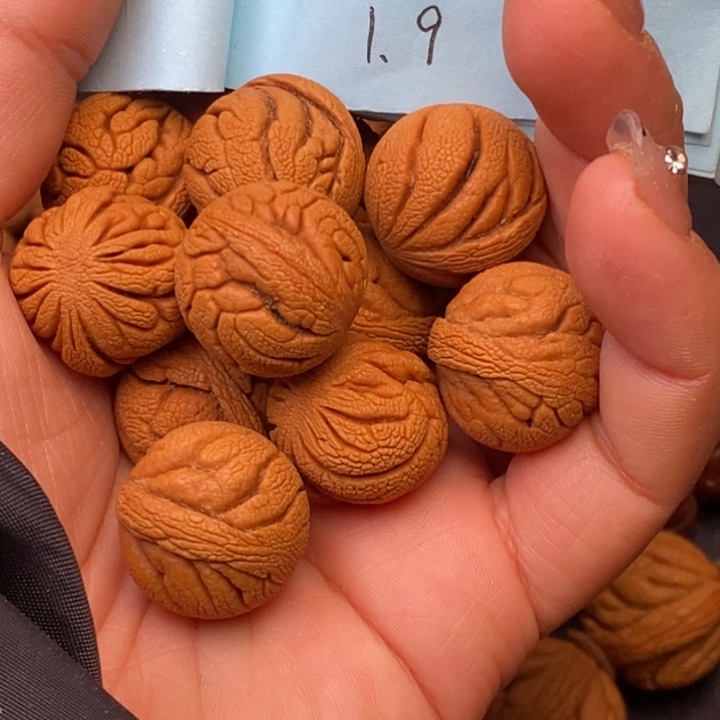 秦岭龙纹桃核14颗