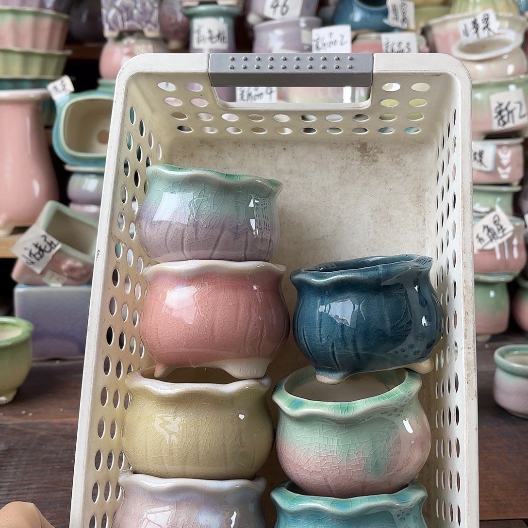 量货/口5.5高5.2深浅搭配发6