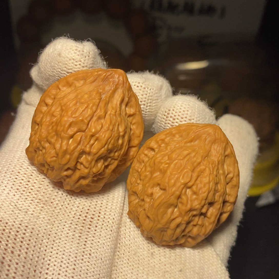 野生小核桃32尺精卡精配