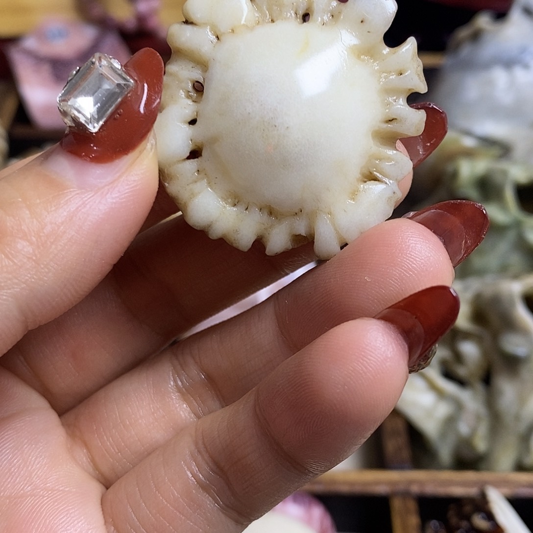 六***使手串/手链鹿骨养殖鹿鹿角手把件