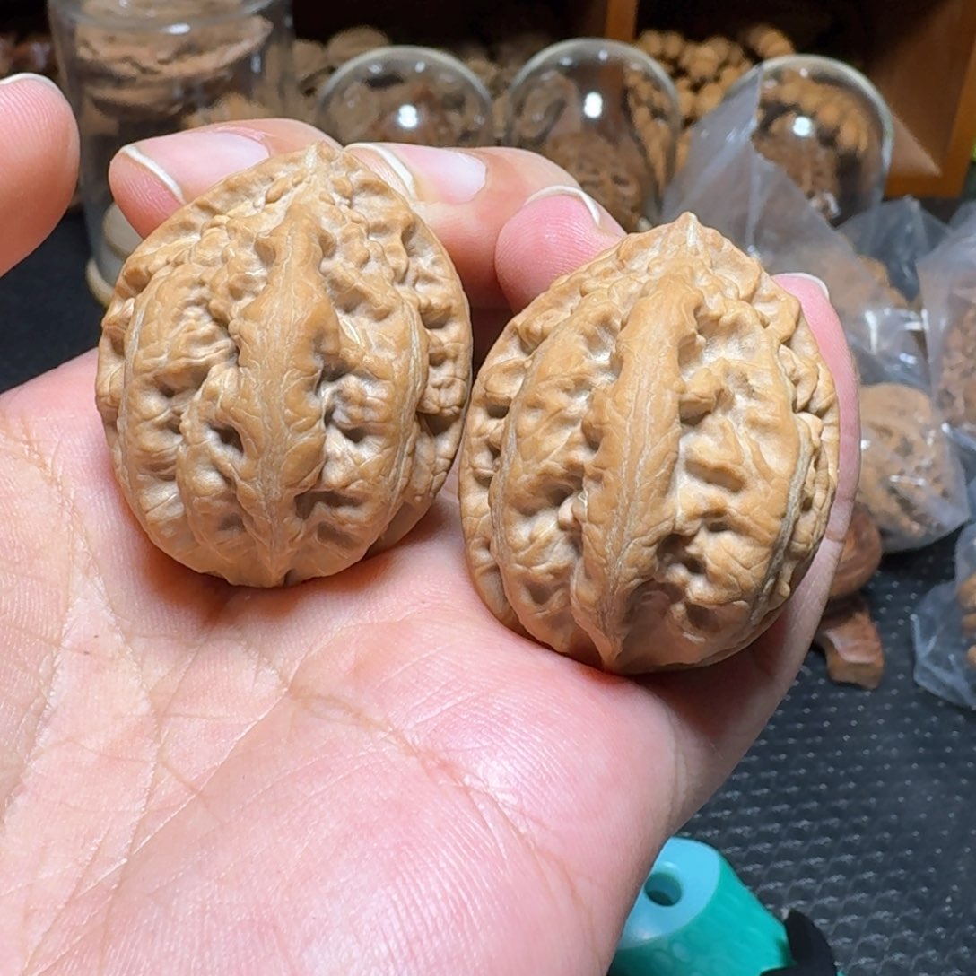 文玩核桃把件粗筋矮壮霸王龙