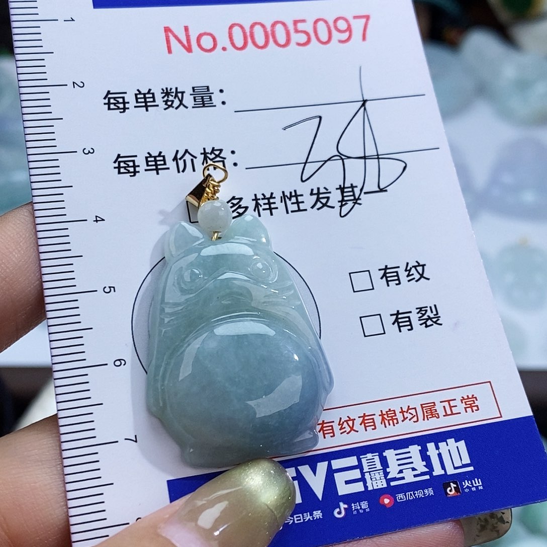 翡翠未镶嵌颈饰5097