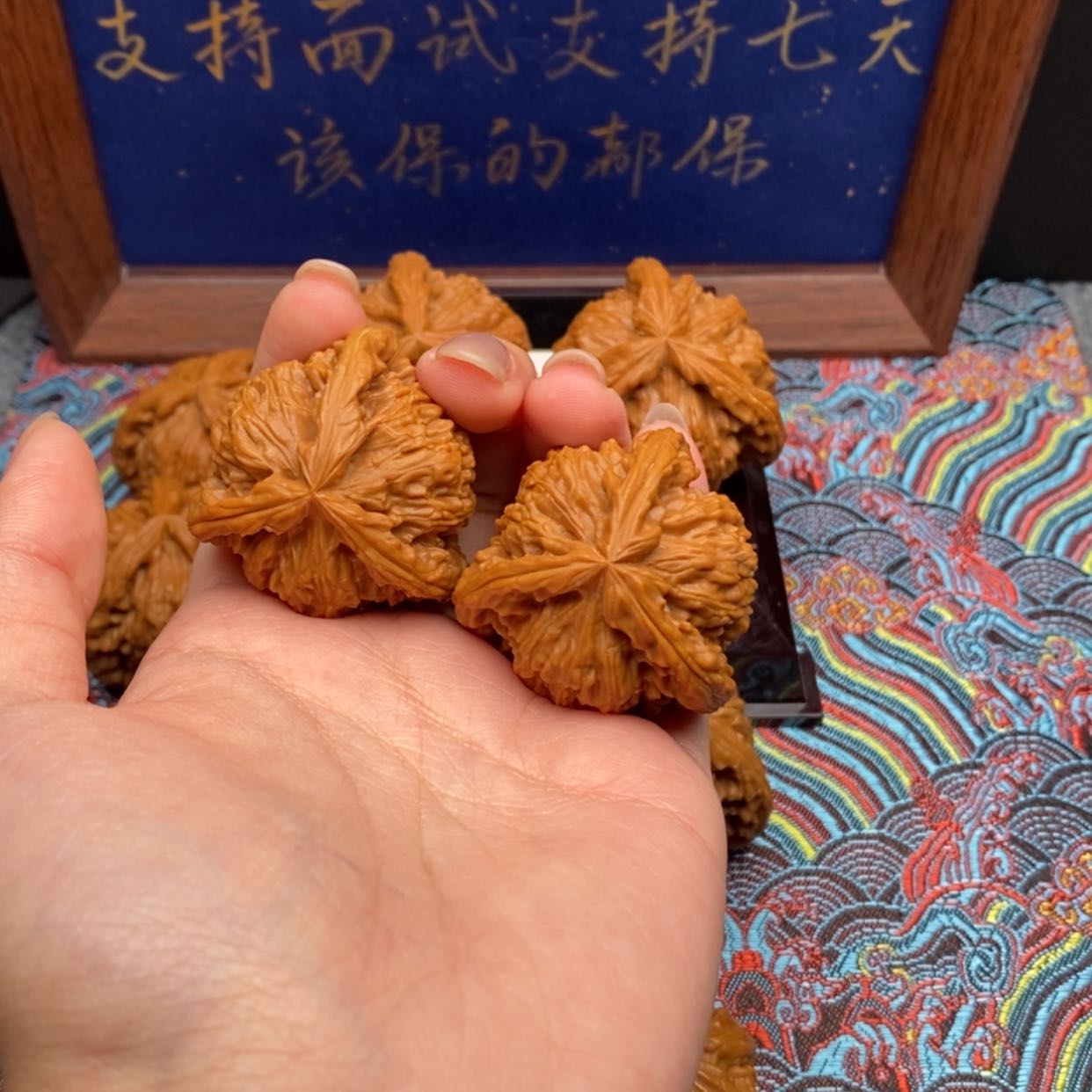 【闪购商品】李***了白狮