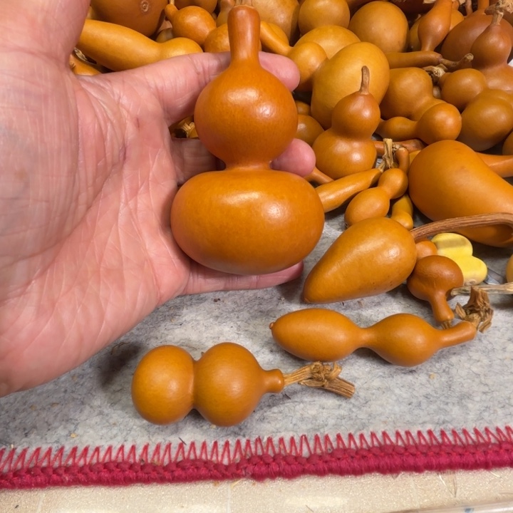 跳***p跳跳跳的一把长嘴金蟾葫芦不对就