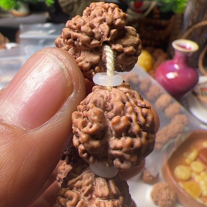 金刚菩提手串19花妖