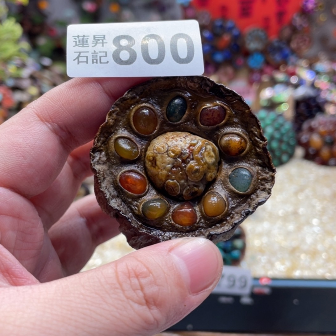 核桃木/黑胡桃（胡桃木）800