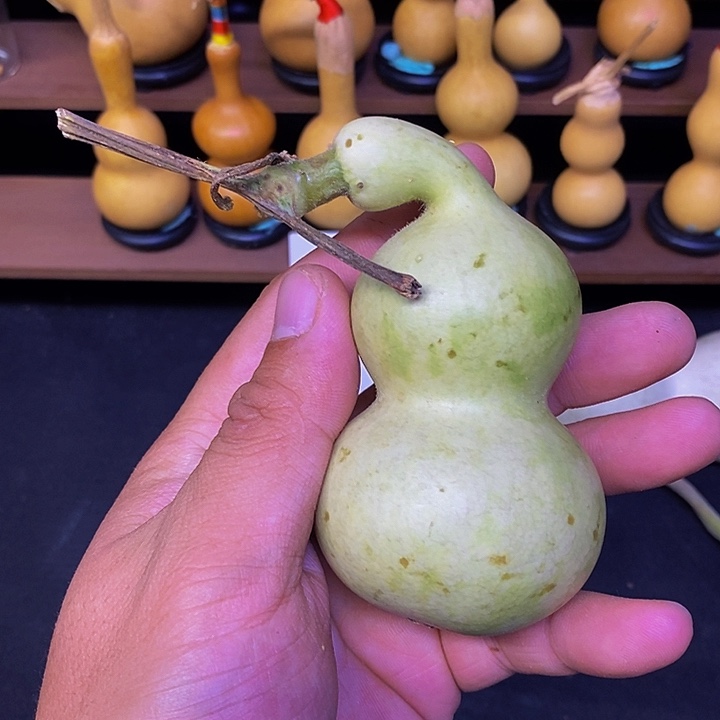 1*哈哈哈哈哈哈哈哈哈哈哈
