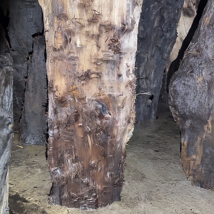 海***u金丝楠木原料摆件