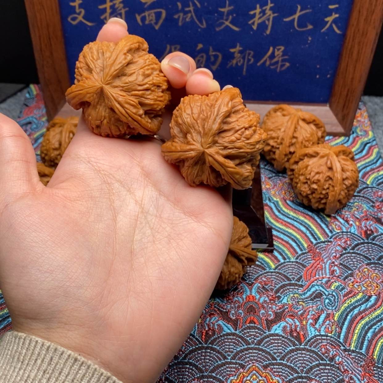【闪购商品】郑*白狮子1111111