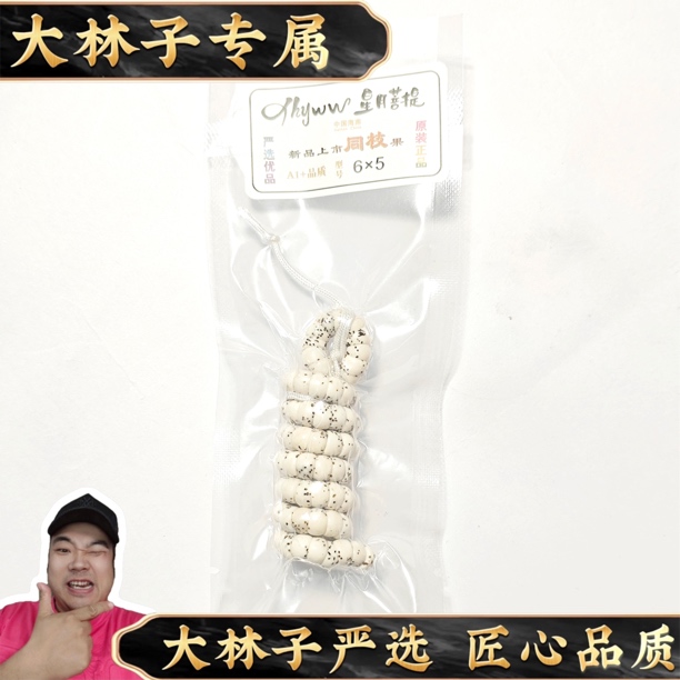 【大林子·甄选】 同枝果大留白星月大肠 尺寸5·6mm