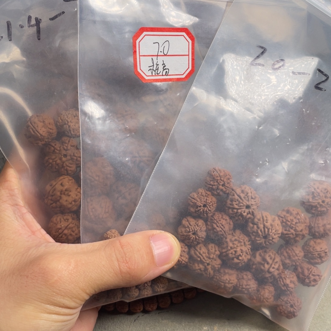 迟***）吊坠金刚菩提散籽