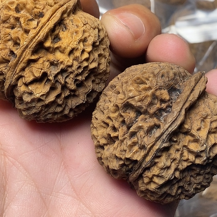 把件文玩核桃云南铁核桃90