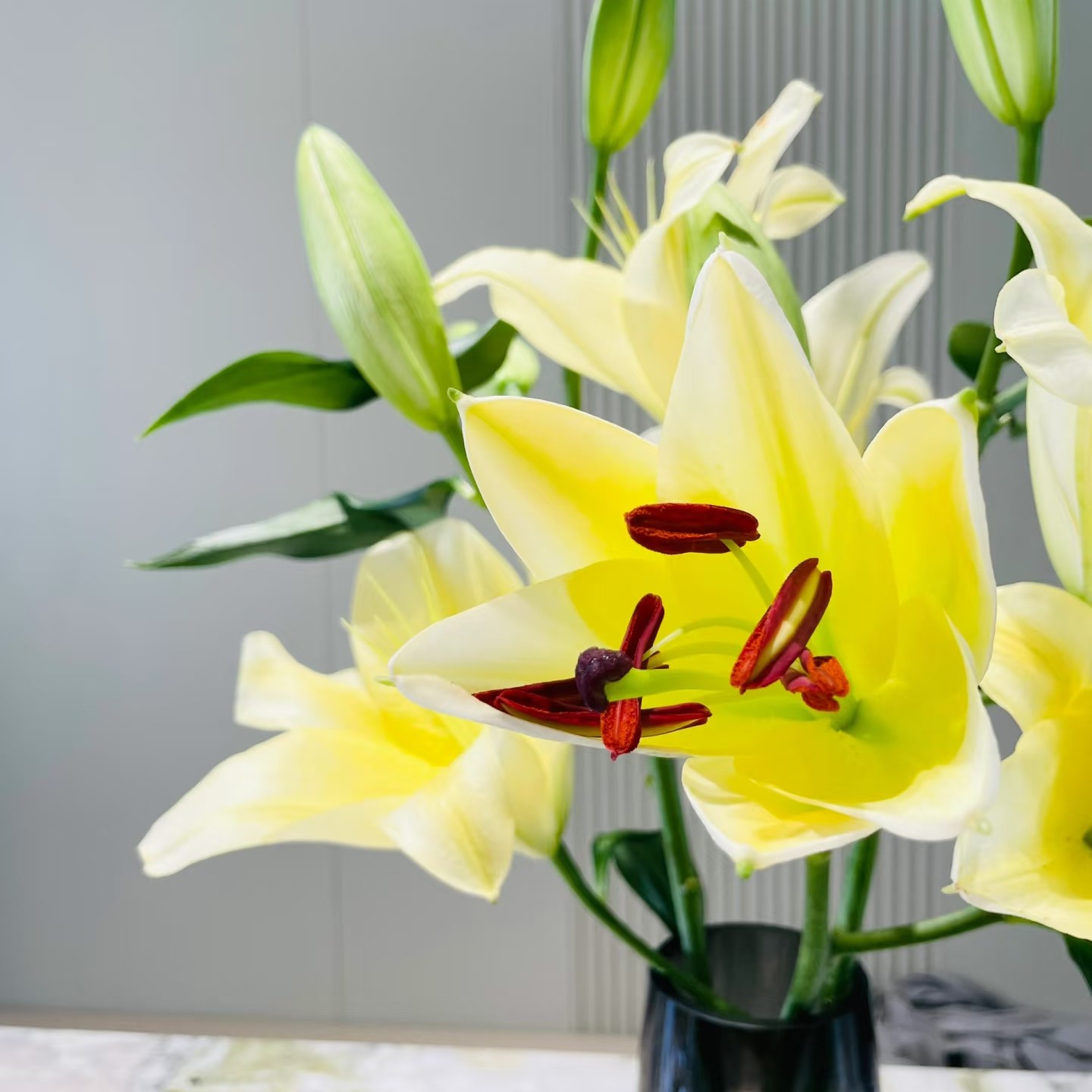 顺丰京东包邮。6支A级，黄百合，同品质买贵包退，一单也包邮。