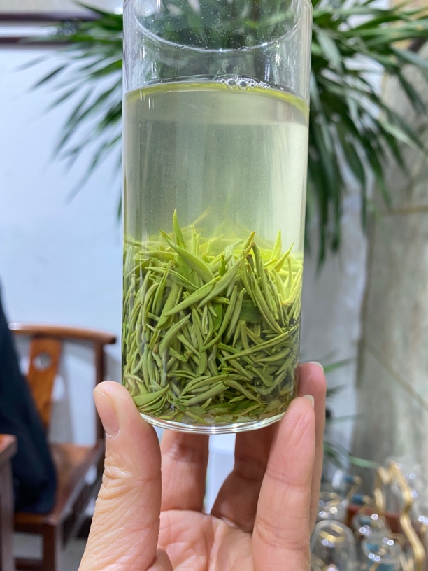 2025新茶叶A4明前手工精选小芽毛尖绿茶鲜爽甘甜浓香耐泡