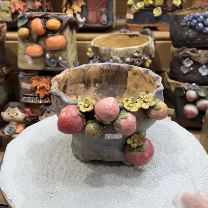 陶然多肉花盆百搭