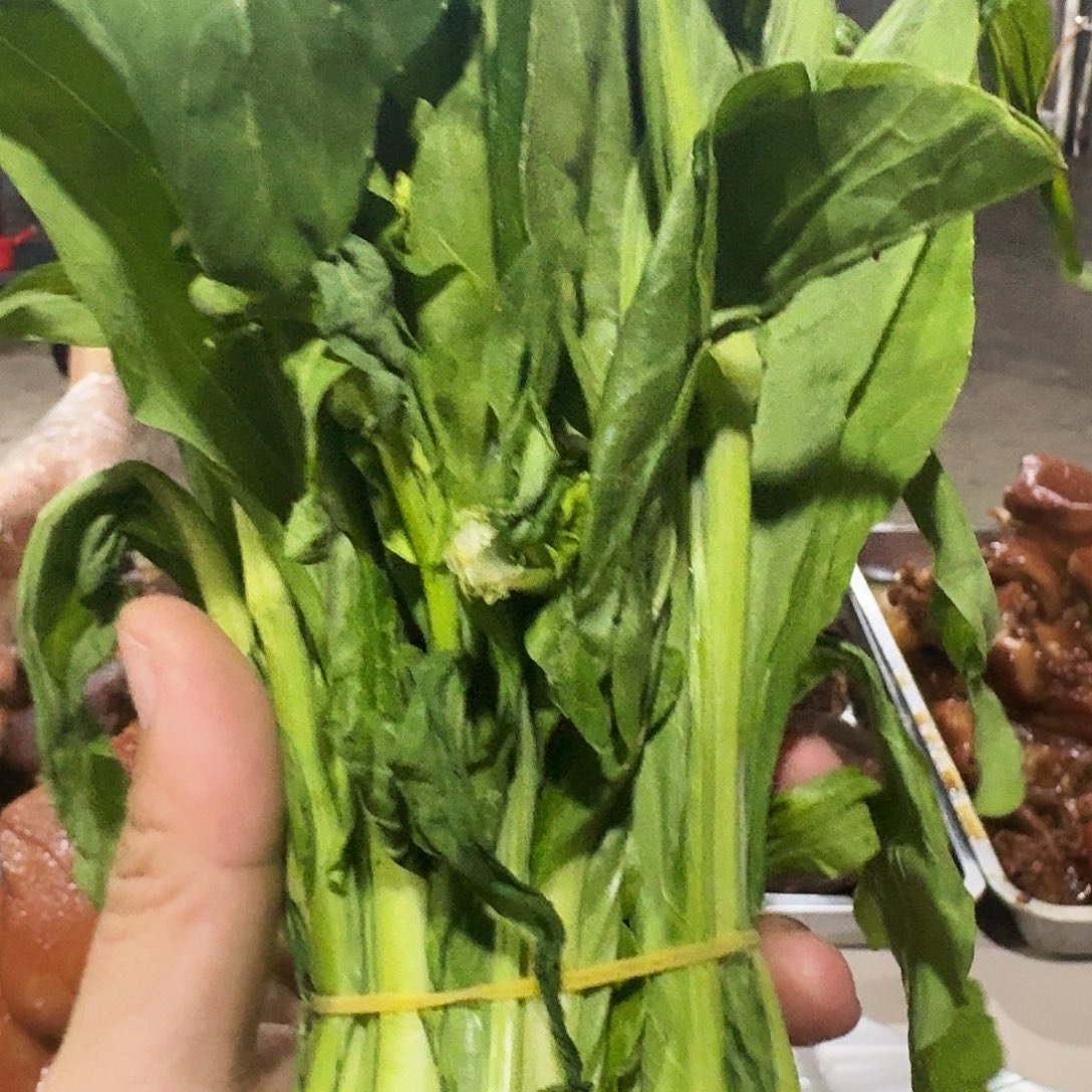 英***云白菜中国大陆青菜