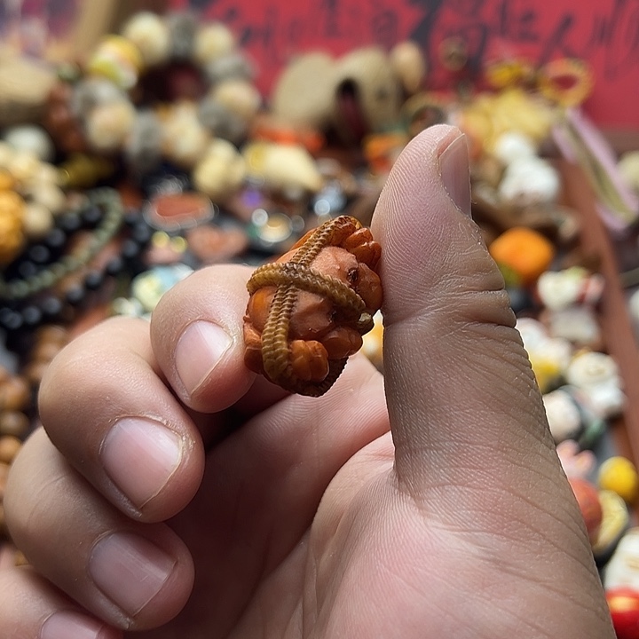 非金属象牙果大闸蟹
