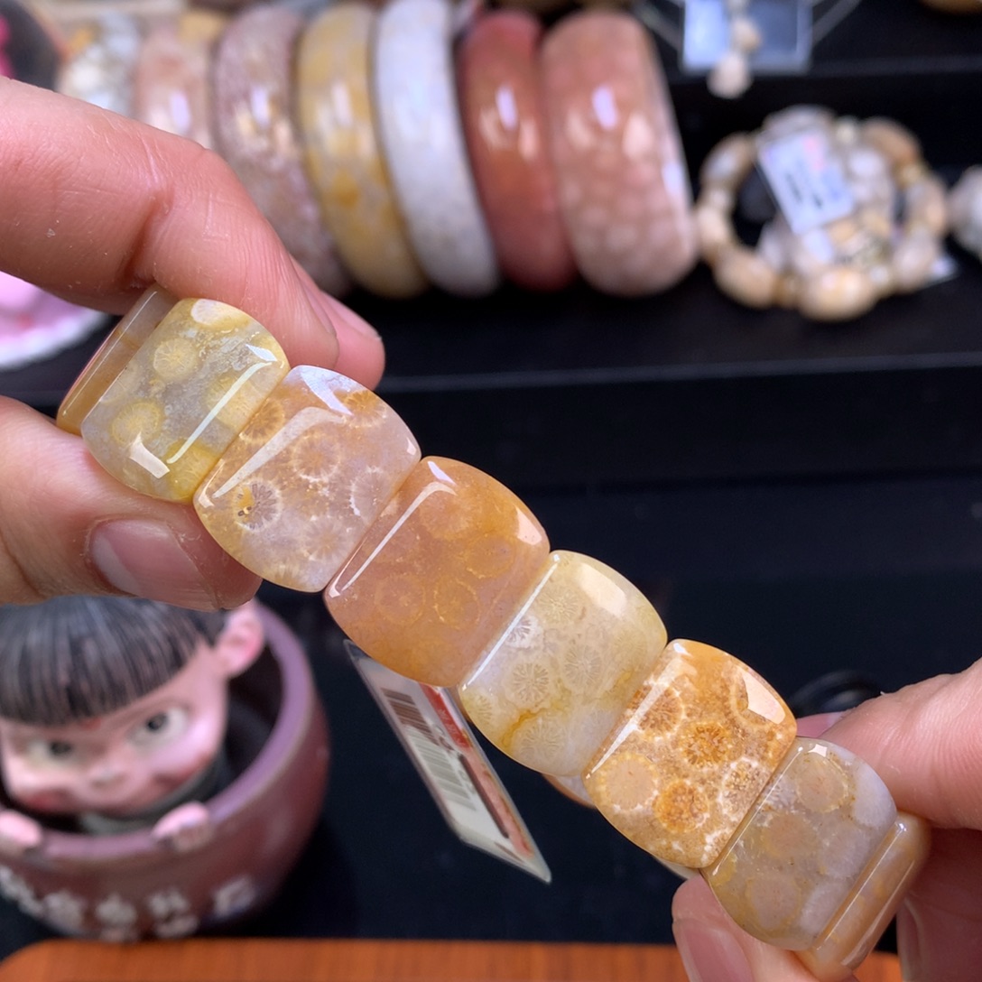 硅化珊瑚（珊瑚玉）未镶嵌颈饰32号金糖底调
