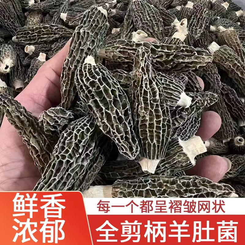 当季头茬新鲜采摘晾干羊肚菌七妹4-6cm全剪柄煲汤好料