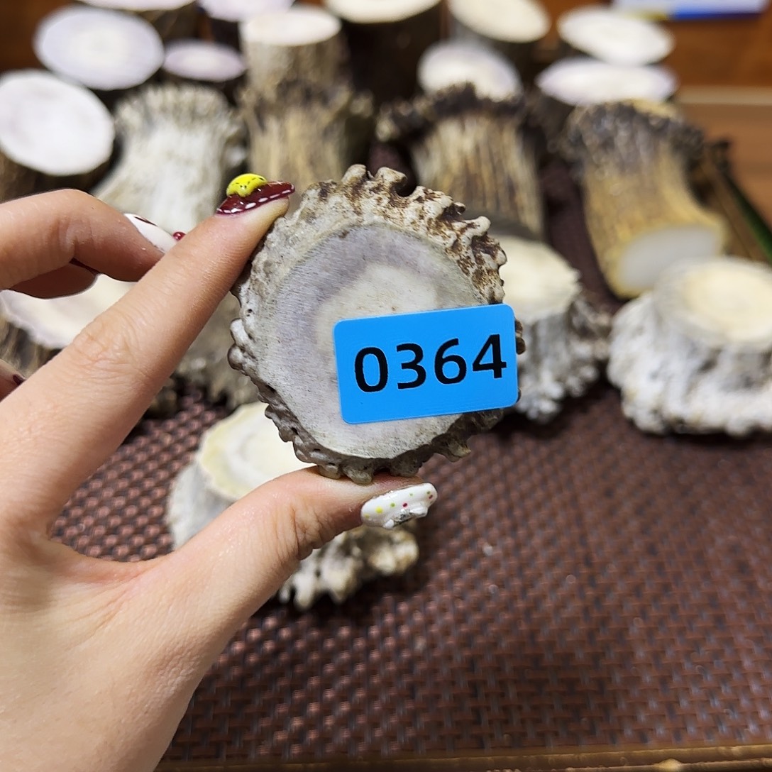 鹿骨手串/手链角帽0364