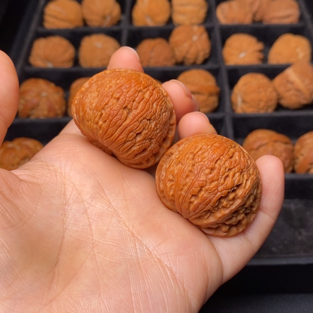 文玩核桃把件秦岭野生核桃