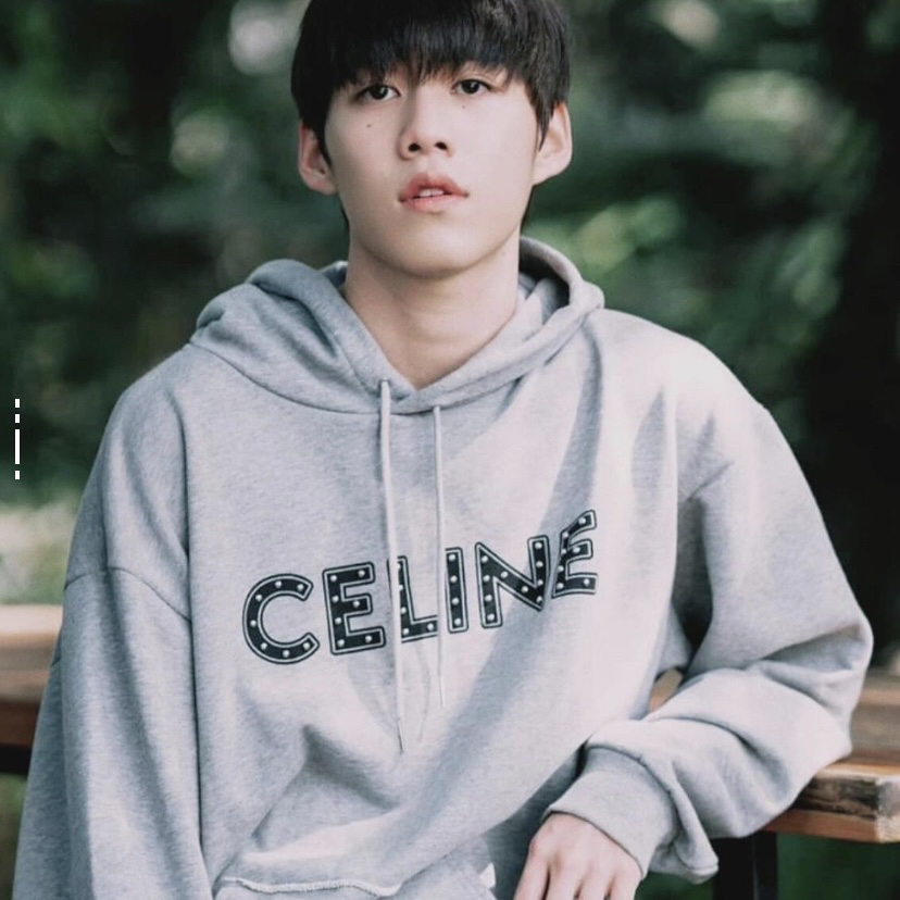 99新 Celine/思琳 1428/灰色铆钉Logo印花宽松连帽卫衣/XXL码