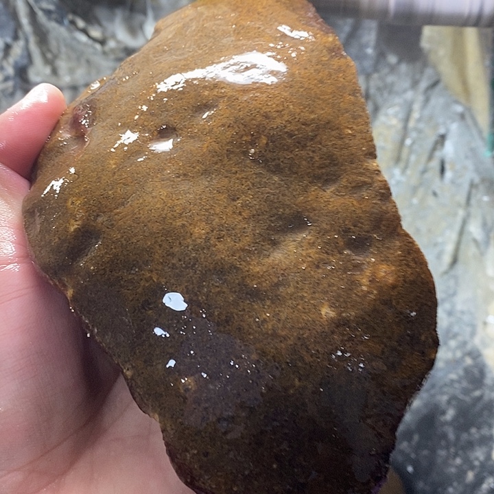 修***仔玛瑙/玉髓未镶嵌珠宝半成品